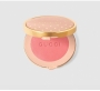GUCCI BLUSH DE BEAUTE Wholesale